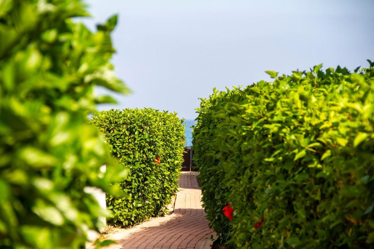شقة Atlantis Gardens شاطئ مازوتوس المظهر الخارجي الصورة